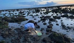 海南赶海爆料视频下载,揭秘渔民捕捞瞬间，高清视频带你领略海洋魅力