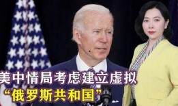 爆料俄罗斯中情局视频在线观看,在线观看背后的惊人真相